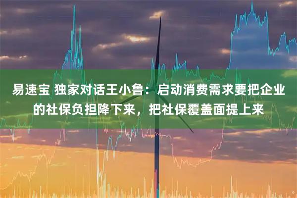 易速宝 独家对话王小鲁：启动消费需求要把企业的社保负担降下来，把社保覆盖面提上来