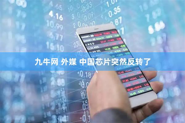 九牛网 外媒 中国芯片突然反转了